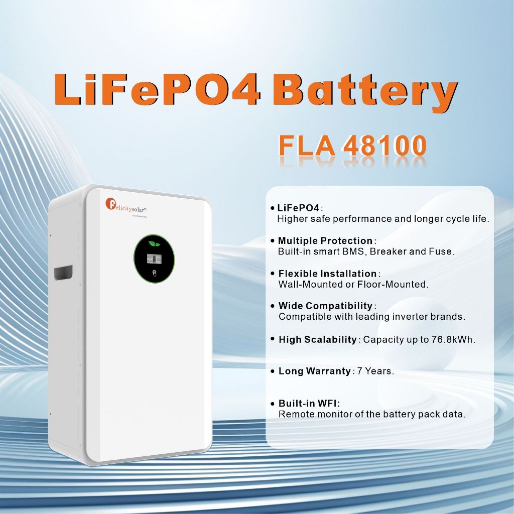 FLA48100 ( 48v100ah)