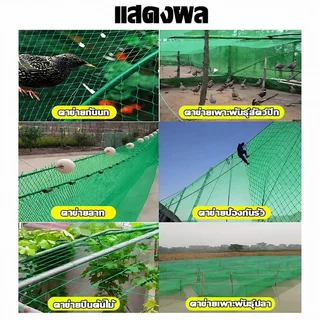 【ของขวัญฟรี】ตาข่ายล้อมไก่ ยาว100/50/20เมตร ตาข่ายกันนก ตาข่าย มุ้งไก่ชน รั้วตาข่าย ตาข่ายถักปม ดางล้อมไก่