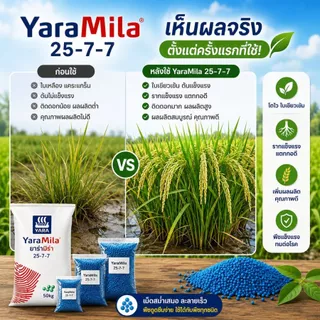 ปุ๋ย Yara 25-7-7 แบบบรรจุ 100 กรัม - 2 กก