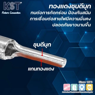 KST หัวเสียบก้านไม้ขีดกลมเปลือย 0.5mm²-6mm² รุ่น PTNB1-PTNB5