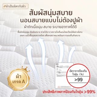 ที่นอนยางพาราพับ 3 ทบ หนา 4 นิ้ว รองรับหลัง พับเก็บได้ ประหยัดพื้นที่ เหมาะสำหรับหอพัก คอนโด COD