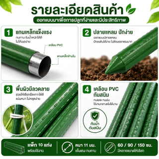 HANATEK ไม้ค้ำต้นไม้ 10 แท่ง เสามะเขือเทศ หลักไม้เลื้อย 11 มม. 60-150 ซม. ทำค้างผัก DIY