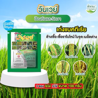 วันเวย์ 100g. ป้องกันกำจัดโรคพืชที่เกิดจากเชื้อรา ไวรัส และเเบคทีเรีย สูตรพิเศษยาเย็น 1 ซอง 5 ไร่