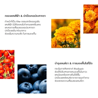 [ 1DayVit ] - Lutein Balance - วิตามินสำหรับดวงตา