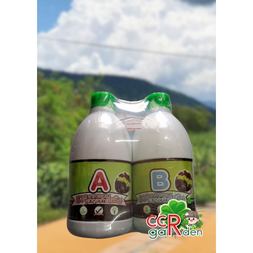 ปุ๋ยน้ำ A-B ปุ๋ยไฮโดรโปนิกส์