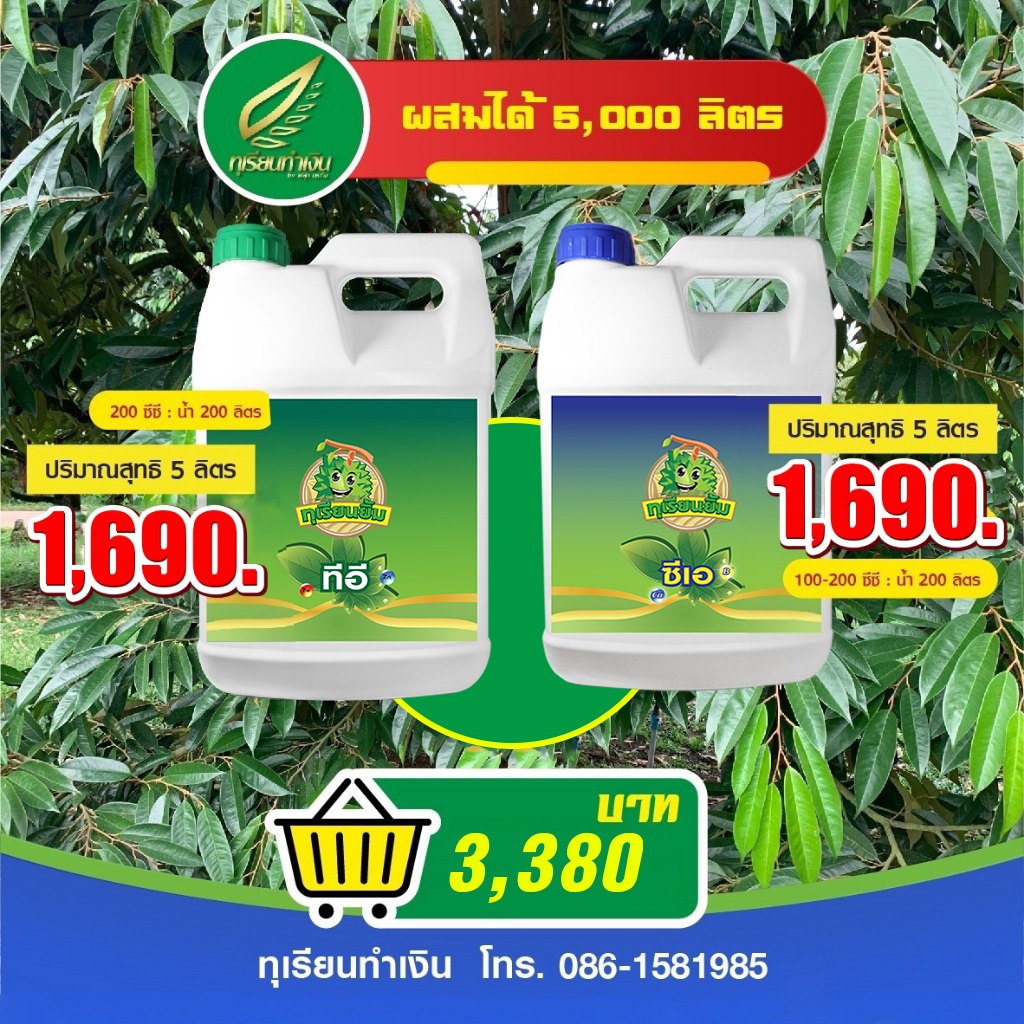 ชุดสะสมอาหารแบบ 5 ลิตร ใบเขียว เข้ม สะอาด มันเงา