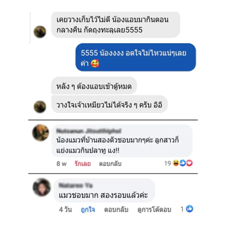 [แพ็คใหญ่ ขายดี] ปลาซาร์ดีนนึงก้างนิ่ม อาหารหมา อาหารแมว อาหารเปียก ขนมหมา ขนมแมว Realdy - Feed Real Food