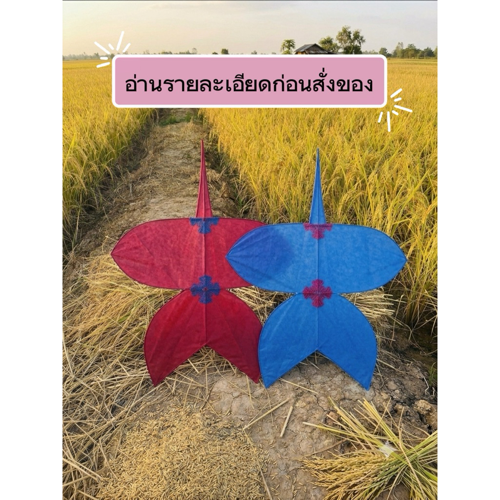 ว่าวจุฬาติดแอก 90 ซม.80 ซม. เล่นลมเบาพับต่อได้ขึ้นดีเทสผ่านแล้วถึงเอามาขาย