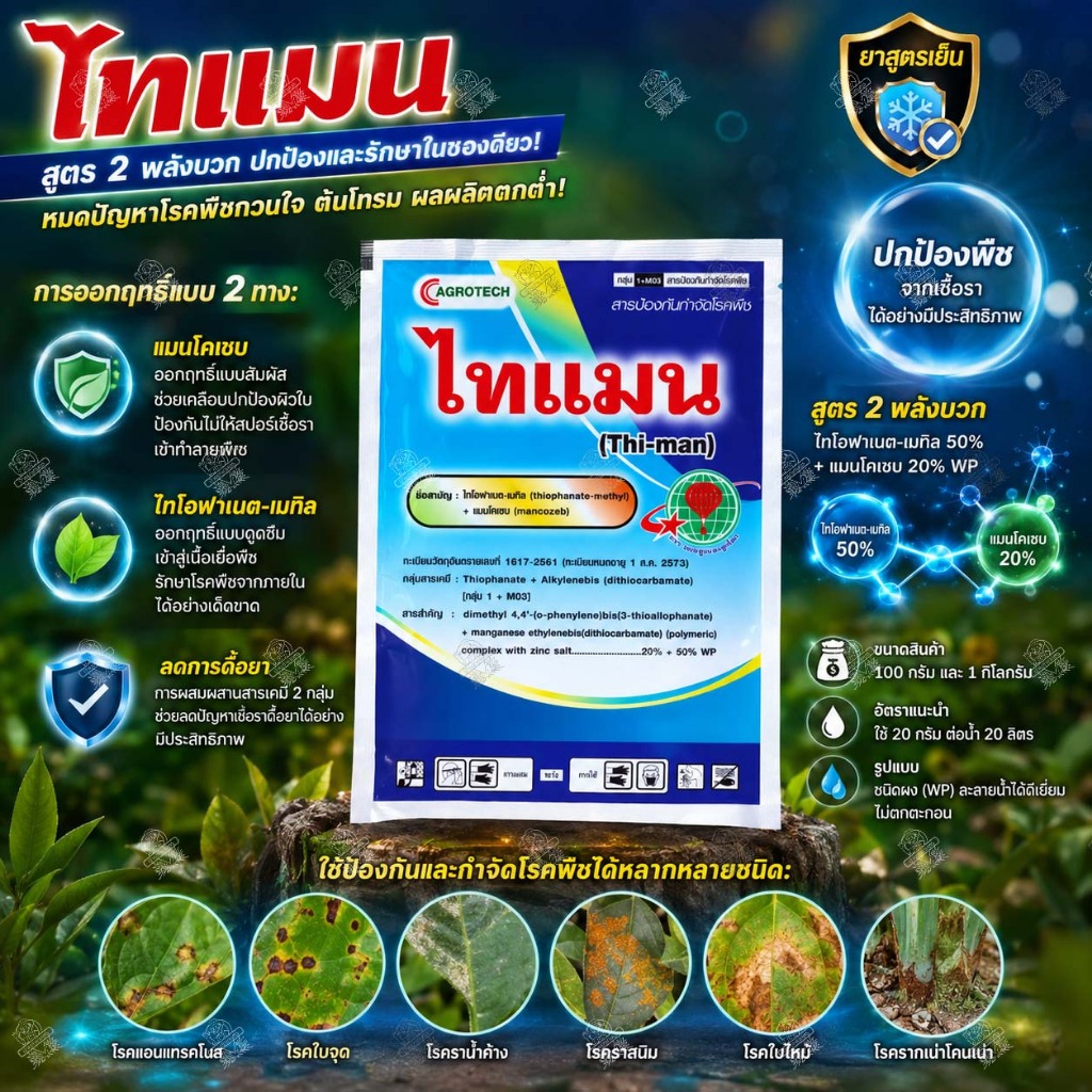 [10ซอง] ไทแมน แมนโคเซบ + ไทโอฟาเนต-เมทิล (100กรัม) กำจัดโรคพืช เชื้อรา โรคใบจุด ราน้ำค้าง แอนแทรคโนส