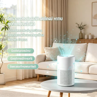 OOTT เครื่องฟอกอากาศขนาดเล็ก สำหรับบ้าน ห้องนอน กำจัดกลิ่น เครื่องฟอกอากาศแบบพกพา