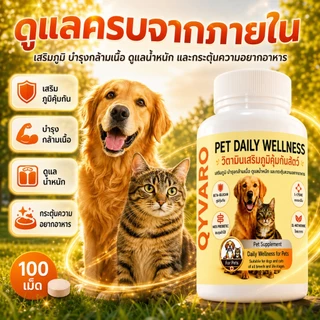 วิตามินเสริมภูมิสุนัข แมว QYVARO เสริมภูมิคุ้มกัน ไม่ป่วยง่าย ให้กลับมาแข็งแรงและกินเก่ง