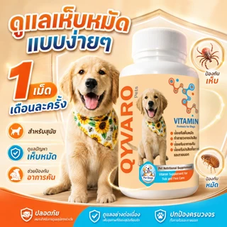 หมดปัญหาเห็บหมัด Qyvaro ป้องกันเห็บหมัด ลดคัน ขนร่วง กินง่าย เดือนละครั้ง