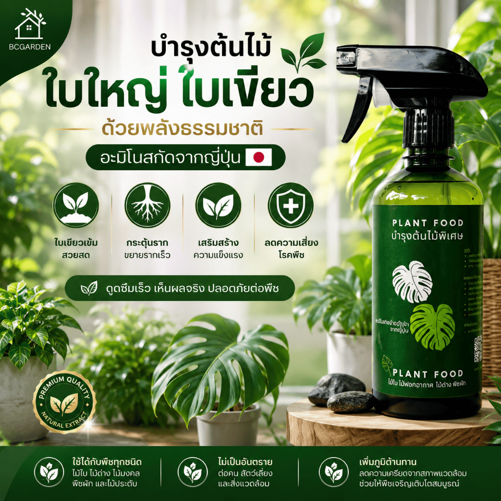 สเปรย์บำรุงใบ ใบใหญ่ ใบเขียว กระตุ้นการแตกใบ แตกยอด แบบขวดสเปรย์ 1 ขวด Plant Food