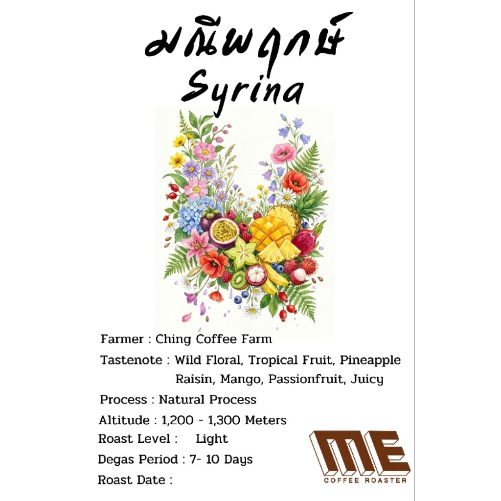 เมล็ดกาแฟ มณีพฤกษ์ สายพันธุ์ Syrina สาย Fruity Floral ห้ามพลาด