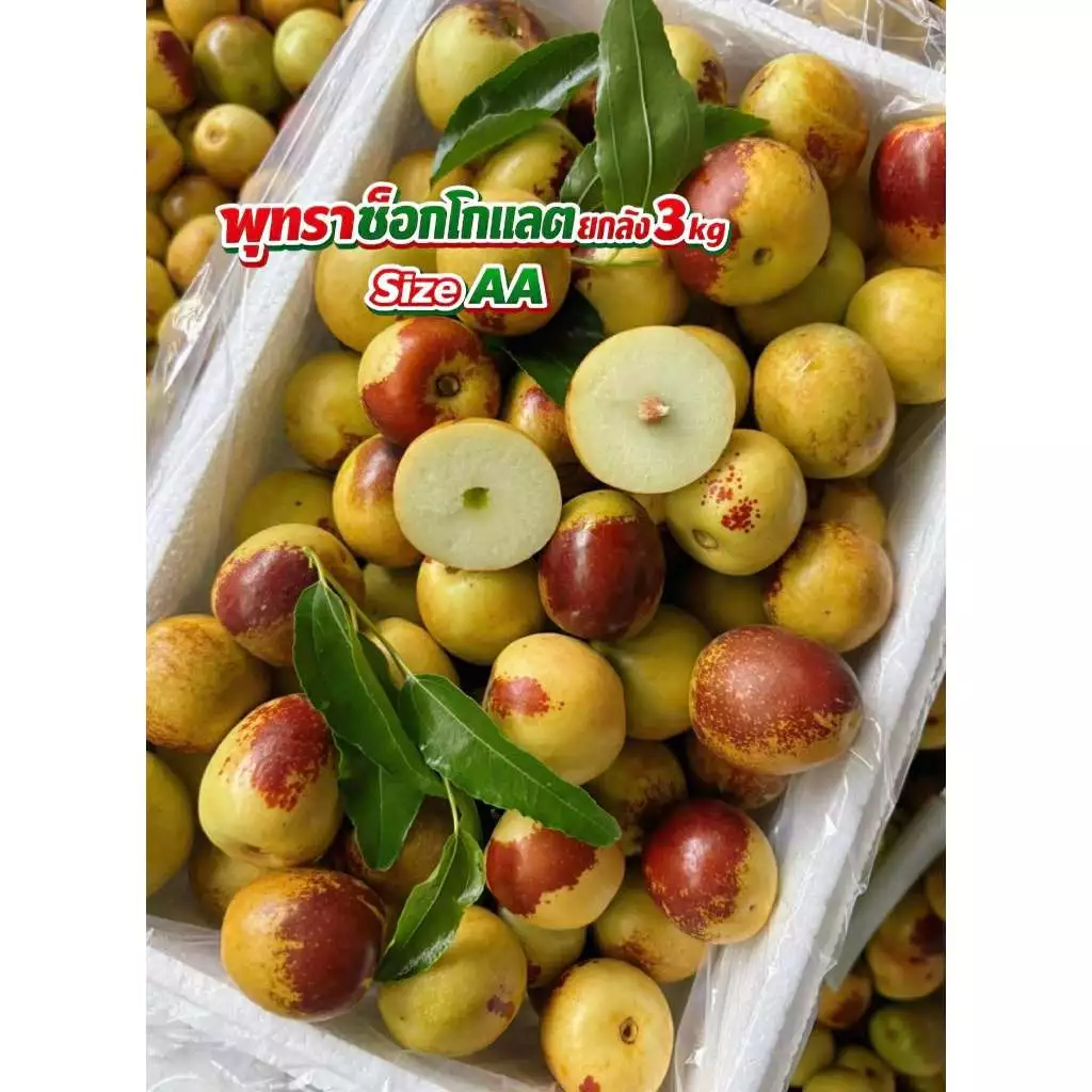 AA พุทราช็อกโกแลตยกลังไซส์ Aใหญ่หนัก 3 กก รวมลังโฟม เนื้อกรอบฟูหวานอร่อย