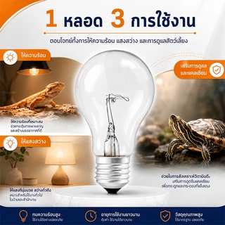 หลอดไฟไส้สแตน ขั้วE27 25W-200W หลอดไฟใส ให้แสงวอร์ม เหมาะเลี้ยงลูกไก่ ให้ความอบอุ่น ใช้ไฟ 200‑250V มาตรฐานอุตสาหกรรมไทย