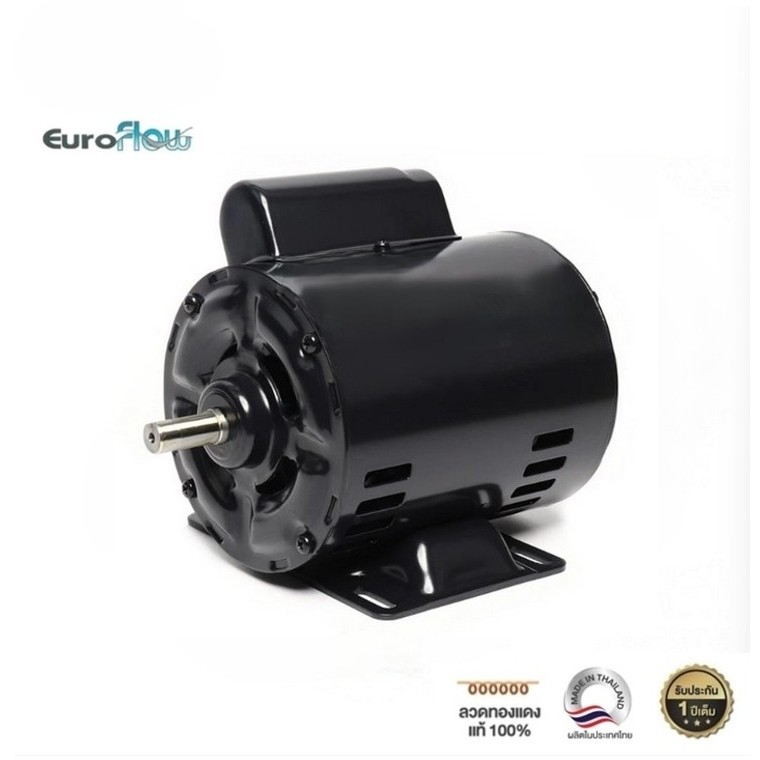 มอเตอร์ Euroflow รุ่น CR 1/4HP 4P FT 220V (G3) เพลา 14 มิล (ไม่เหมาะกับงานฉุดสายพาน)