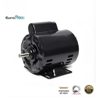 มอเตอร์ Euroflow รุ่น CR 1/4HP 4P FT 220V (G3) เพลา 14 มิล (ไม่เหมาะกับงานฉุดสายพาน)