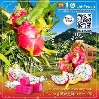 🇹🇭Oishi-fresh🍒แก้วมังกร ปลอดสารพิษ 1 กก. รสชาติกรอบ สด ใหม่ ใยอาหารสูง หวานออร์แกนิค จัดส่ง 24 ชม.