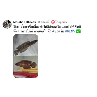 อาหารปลา Finy Pellet เร่งครีบสำหรับปลาสายน้ำเย็น นำเข้าจากเวียดนาม