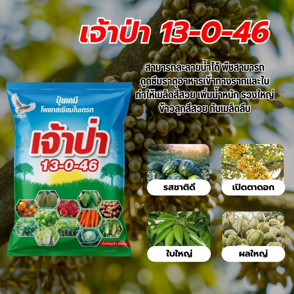 ปุ๋ยสูตร 13-0-46 โพแทสเซียมไนเตรต