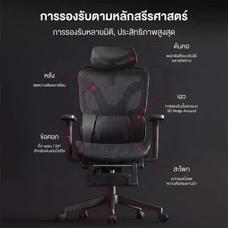 KUCADI เก้าอี้สุขภาพ Ergonomic Chair Office Chair COD ระบบรองรับหลังแบบ3โซน รับน้ำหนักได้ 200 กิโลกรัม [รับประกัน 5 ปี]