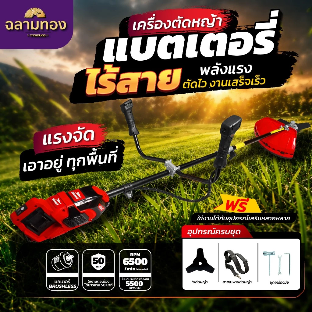 DGF-DC901 เครื่องตัดหญ้า Dragonfly ตัดไว งานเสร็จเร็ว (ไม่มีเเบต)