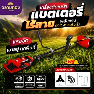 DGF-DC901 เครื่องตัดหญ้า Dragonfly ตัดไว งานเสร็จเร็ว (ไม่มีเเบต)