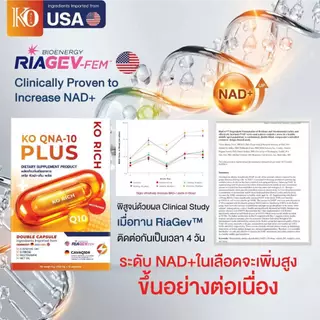 [ ตะกร้า บริษัท ] คิวเท็น เคโอริช { Q-10 KO RICH }
