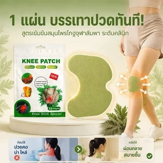 แผ่นแปะสมุนไพรสำหรับหัวเข่า 12 ชิ้น บรรเทาอาการปวดเข่าทันที(T211)