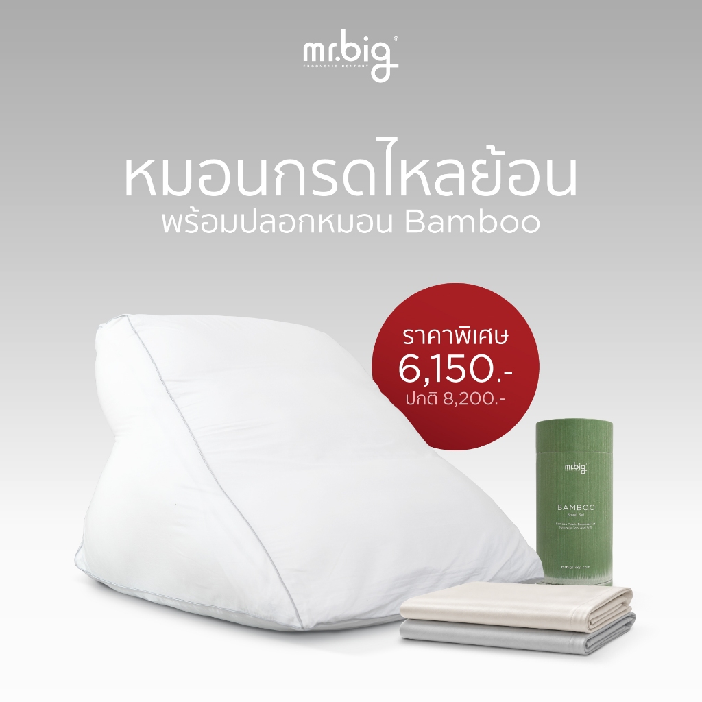 mr.big GERD Pillow + ปลอกหมอน รุ่น Bamboo