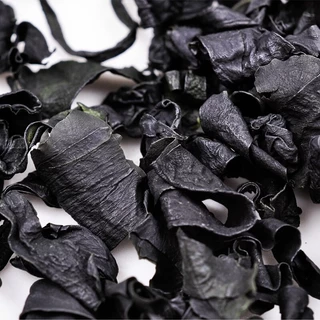 สาหร่ายวากาเมะ 20g 50g 100g ใหม่ต้นฤดู ใบยอดอ่อน เกรดA+ ไม่ผสมก้านแข็ง มีแต่ใบ Wakame 裙带菜