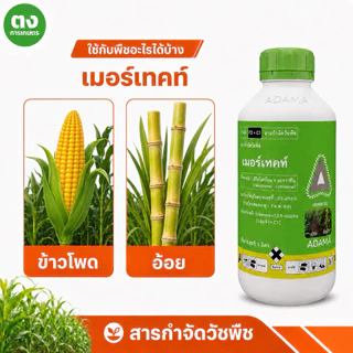เมอร์เทคท์ ADAMA ปีผลิต 2023 มีโซไตรโอน 2.5% + อะทราซีน 25% 1 ลิตร สารกำจัดวัชพืช ของแท้