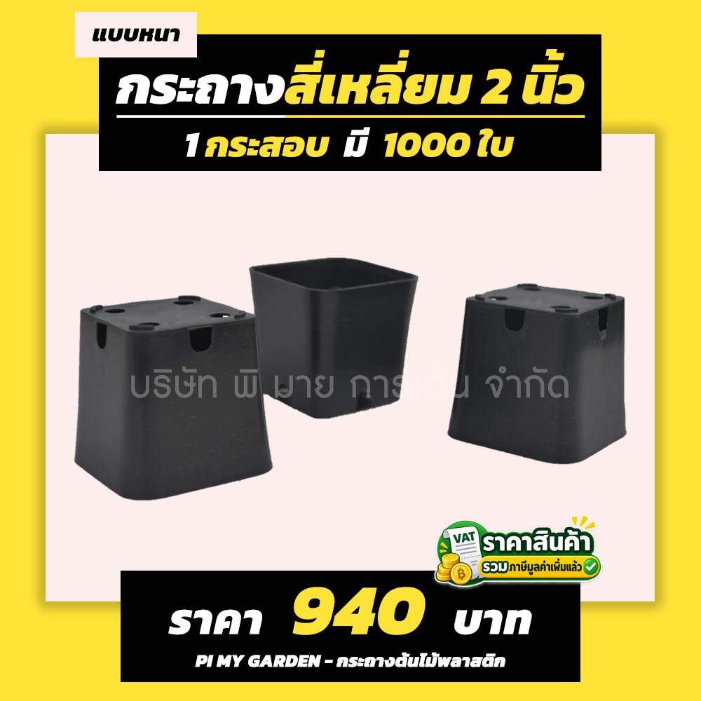 กระถางแคคตัส ทรงสี่เหลี่ยม 2 นิ้ว สีดำ แพ็ค 1000 ใบ