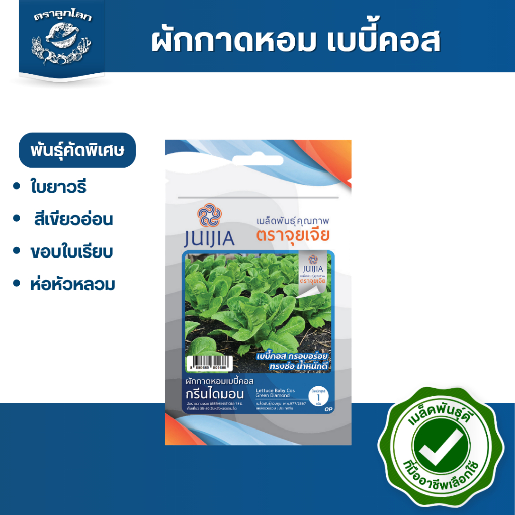 ตราลูกโลก เมล็ดผักกาดหอม เบบี้คอส Lettuce เมล็ดพันธุ์ผัก ผักสวนครัว ผักซอง ผักสลัด เมล็ดผักสลัด