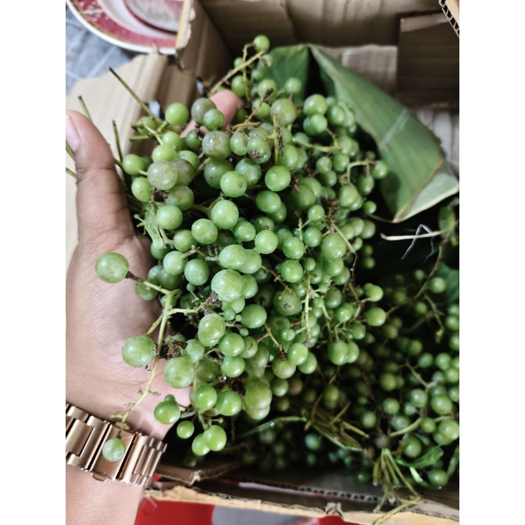 องุ่นดิบ กินเปรี้ยว คละไซส์ คละขนาด สด กรอบ (ไม่คันคอ)