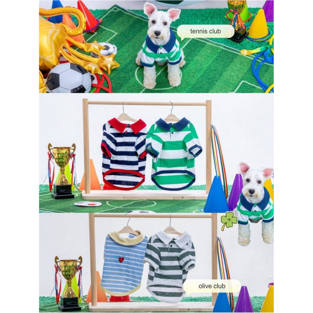 Favchild Polo Collection
