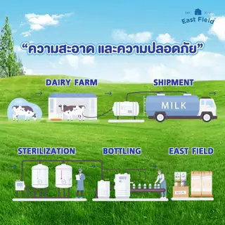 ( 9กล่อง ) EAST FIELD LACTOSE FREE นมอีสฟิลด์สูตรแลคโตสฟรี ปราศจากน้ำตาลแลคโตส 180 มล.