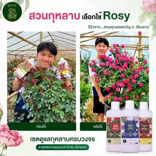 Rosy เซ็ทคู่สูตรผสมน้ำ [เลือกสูตร] บำรุงกุหลาบ กำจัดเพลี้ยไฟ กำจัดเชื้อรา ปุ๋ยกุหลาบ สำหรับผู้ที่ปลูกกุหลาบจำนวนมาก
