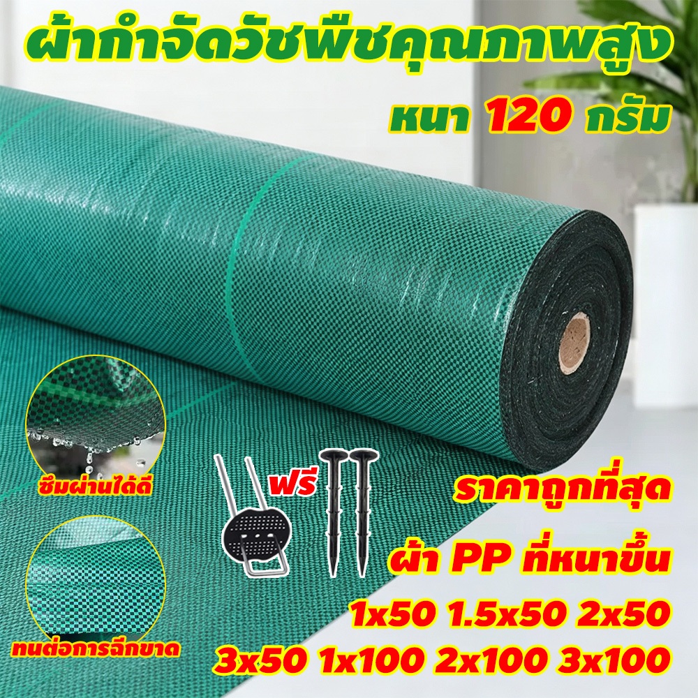 (หนาขึ้น) พลาสติกคลุมดิน ตะปูดินฟรี ผ้าคลุมหญ้า พลาสติกคลุมวัชพืช กำจัดวัชพืช พลาสติกเกรดส่งออก ผสมUV ฆ่าหญ้า 3×100
