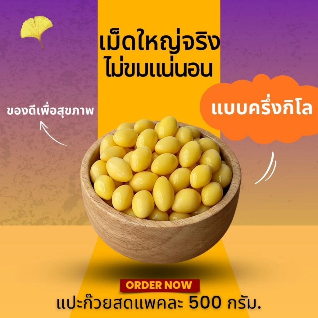 [ของแท้✅️100%] แปะก๊วยสด 500 กรัม(ครึ่งกิโล) | เม็ดใหญ่ ไม่ดำ | ไม่ต้องแทงไส้ ไม่ขมแม้ไม่ออก | คัดเกรด ราคาส่ง