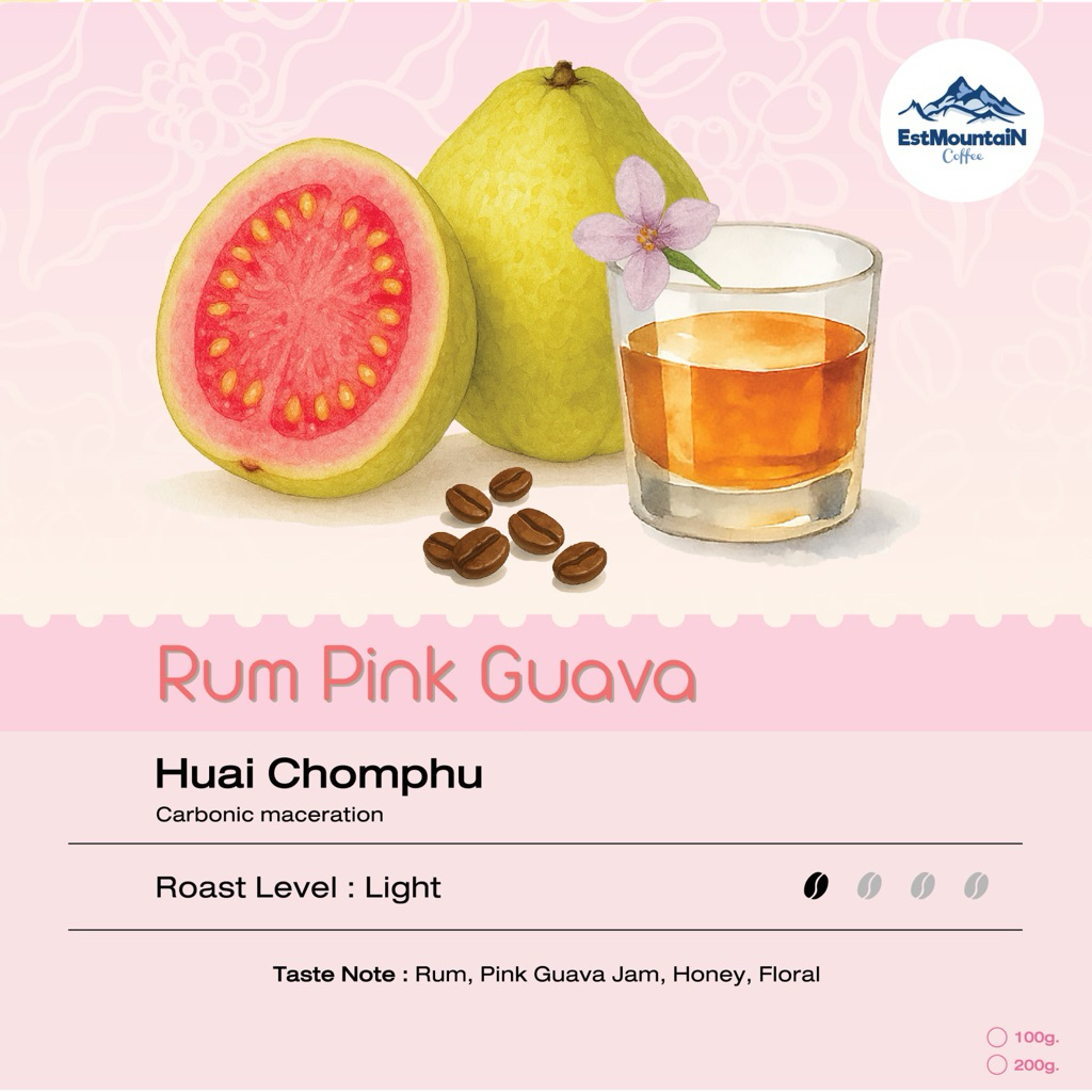เมล็ดกาแฟ คั่วอ่อนรัมฝรั่งชมพู Rum Pink Guava