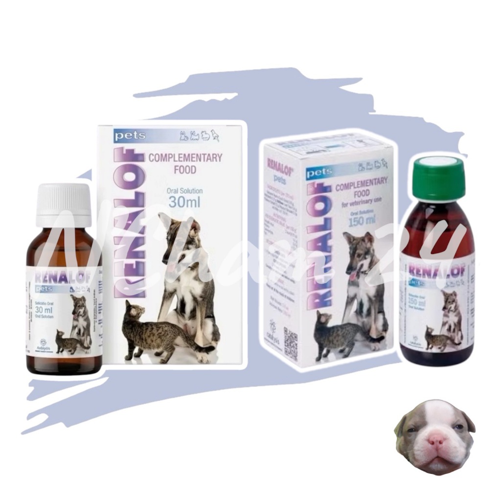 Renalof Pets 30 ml 150 ml🔥Exp.6/2028 รีน่าลอฟ เพ็ทส์ อาหารเสริม วิตามิน ฉี่ไม่ออก กระเพาะปัสสาวะอักเสบ
