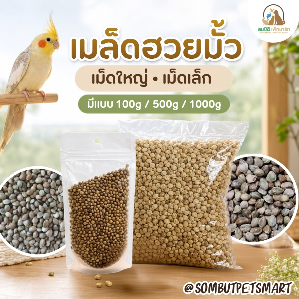 (แบ่งขาย 100g) เมล็ดฮวยมั้ว Hemp Seed อาหารนก เม็ดใหญ่ / เม็ดเล็ก