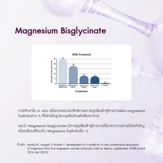 [ 1DayVit ] Magnesium Balance - แมกนีเซียม บาลานซ์