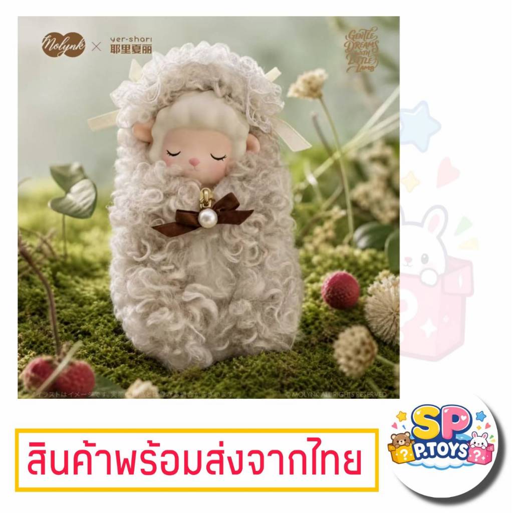 สกุชชี่ Molynk น้องแกะนอนหลับ ของแท้ทุกรายการ
