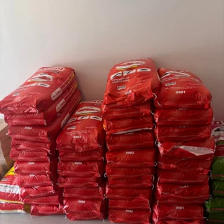 CPF ไฮเกิร์ด อาหารปลา น้ำจืดกินเนื้อ โปรตีนสูง 40% กระสอบ 20kg ย่อยง่าย เม็ดไม่เปื่อย ย่อยดี ปลาโตไว