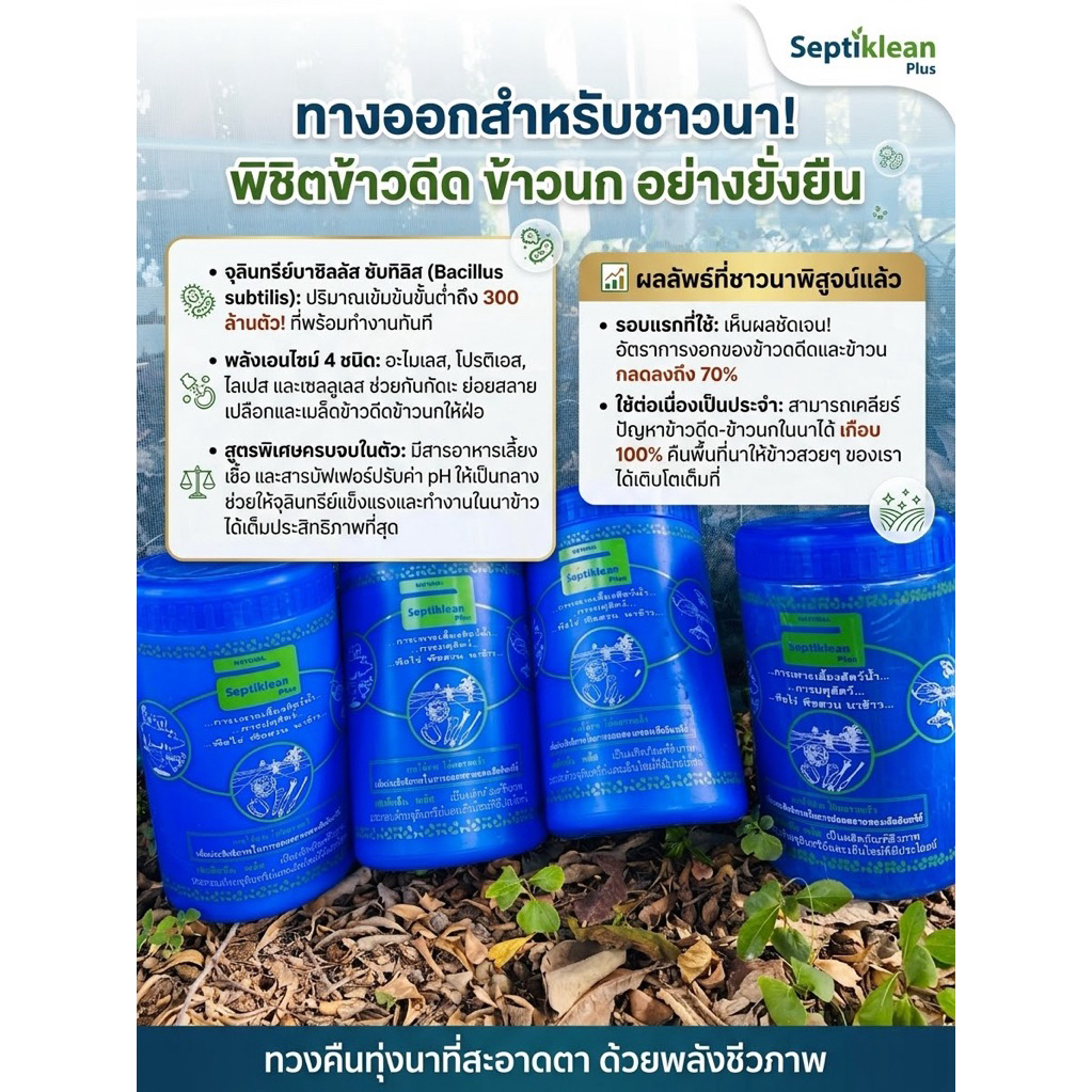 จำกัดการสั่ง ที่ละ 1 กระปุก ‼️ย่อยข้าวดีด ได้ 100ไร่ เซปทีคลีนพลัส 1 kg. ย่อยสลายซากพืชเพาะเลี้ยงสัตว์น้ำ พืชสวน นาข้าว