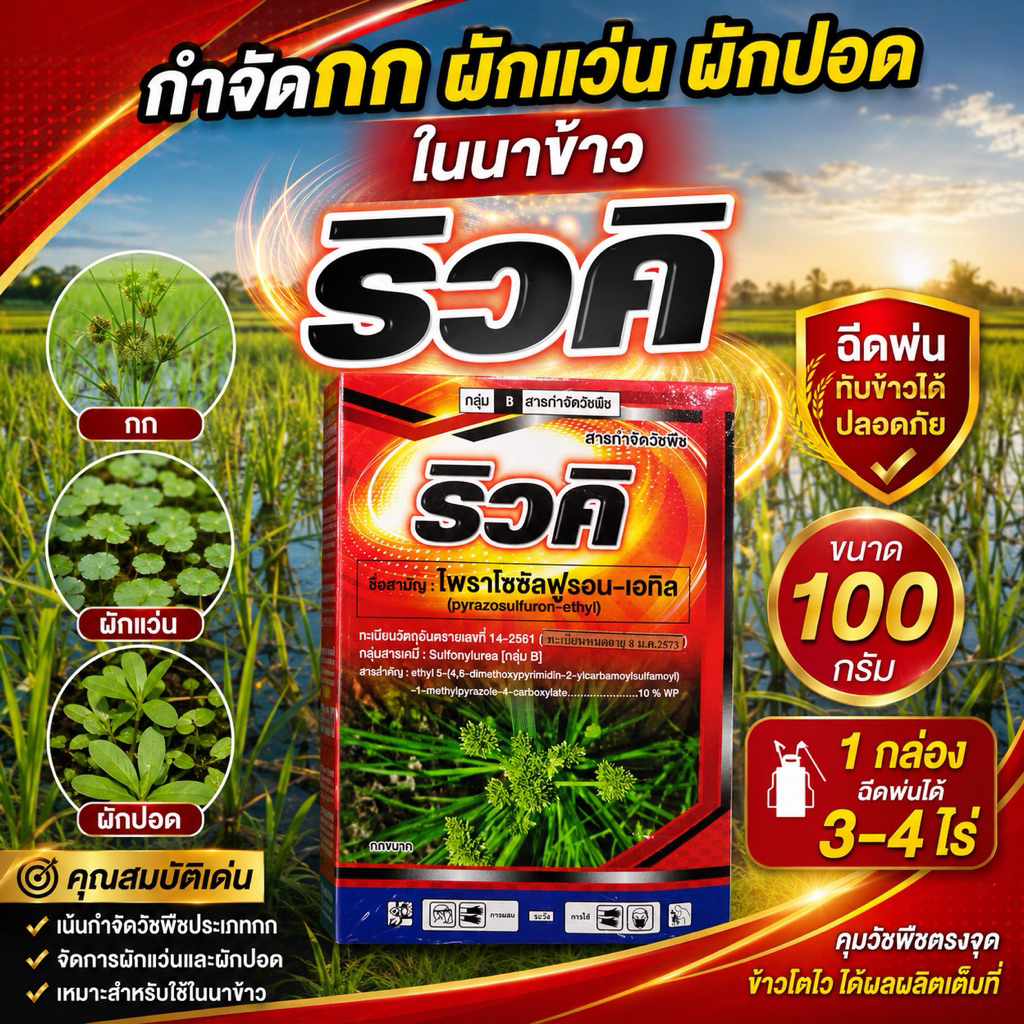 ริวคิ” ไพราโซซัลฟูรอน-เอทิล 10% WP สารกำจัดวัชพืชสำหรับนาข้าว เน้นจัดการ วัชพืชประเภทกก ผักแว่น ผักปอด และวัชพืชใบกว้าง
