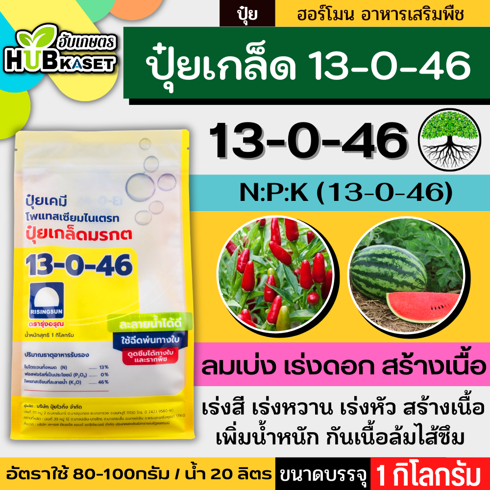 13-0-46 1กิโลกรัม (ปุ๋ยเกล็ด) ลมเบ่ง เร่งดอก ดึงช่อ เพิ่มแป้ง เพิ่มขนาดและสีสัน